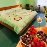Panorama Hotel Plzen