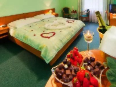 Panorama Hotel Pilzno